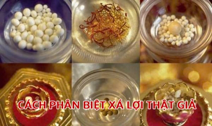 Phật dạy Tôn giả Ma Ha Ca Diếp về Xá Lợi như thế nào